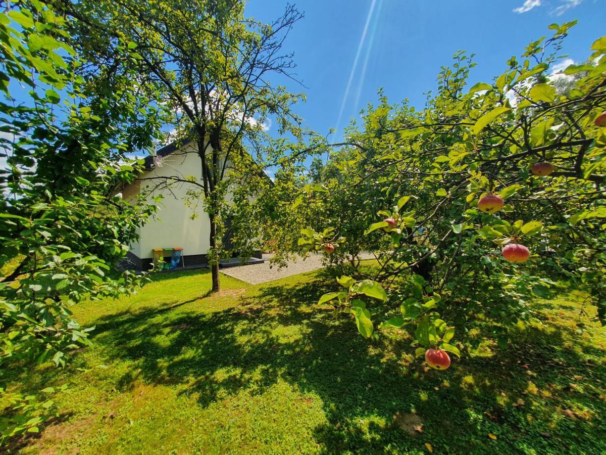 Вилла Tetmajera View & Garden Дембица Экстерьер фото